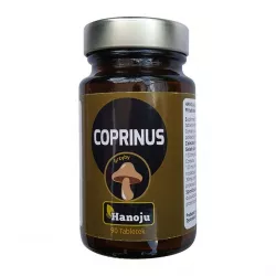 Копринус 50% экстракт 400мг таб. №90 фото